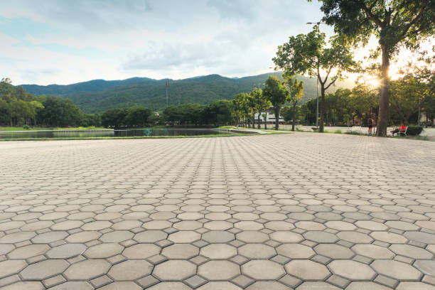 Best Best Driveway Pavers  in Clarinda, IA