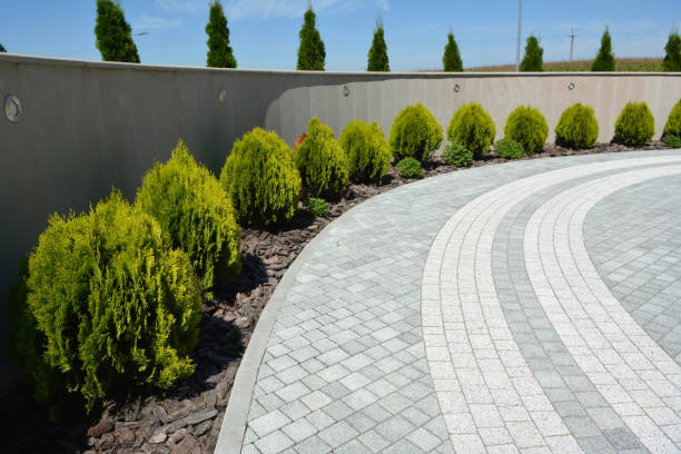Best Driveway Pavers Near Me  in Clarinda, IA